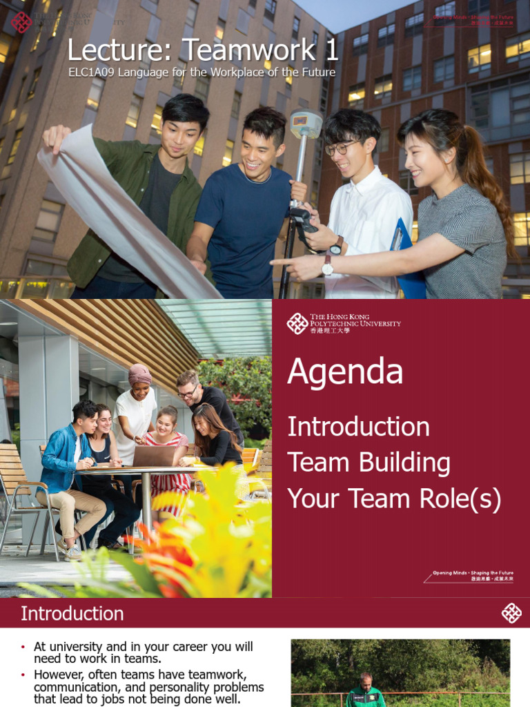 Team Roles for Effective Collaboration | PDF
