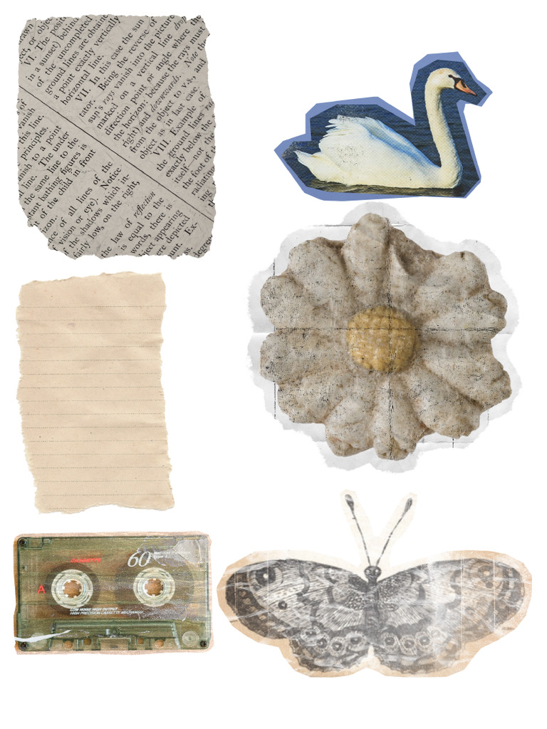 Untitled Design | PDF