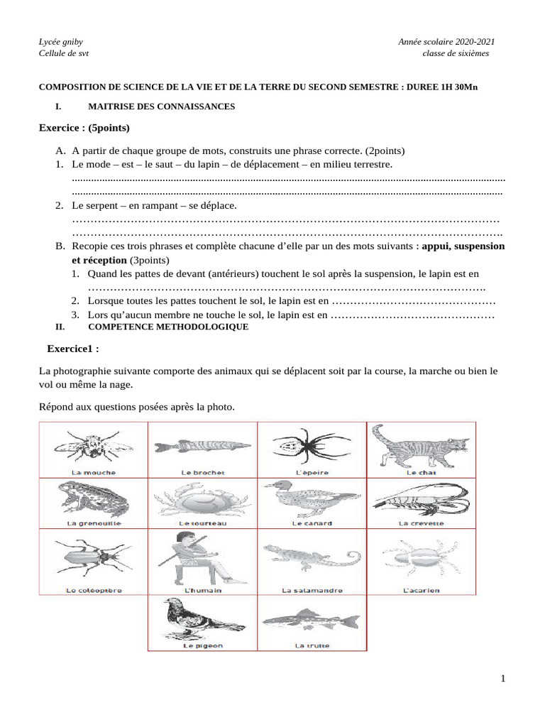 composition-svt-6-me-saut-et-d-placement-pdf-zoologie
