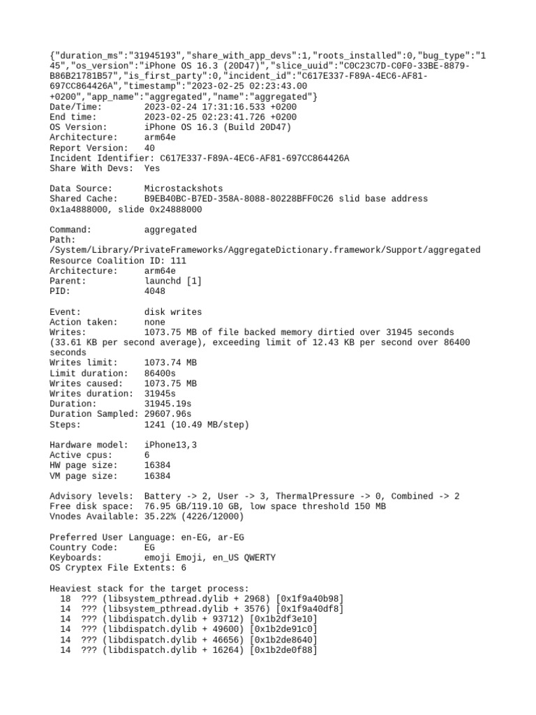 iPhone 16.3 Disk Write Report | PDF | Thread (Computing) | Computer ...