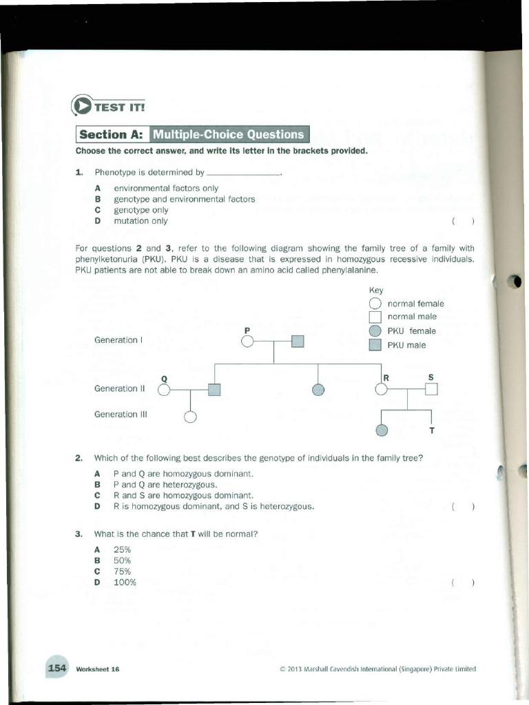 Genetics and Inheritance Worksheet | PDF | Dominance (Genetics) | Zygosity