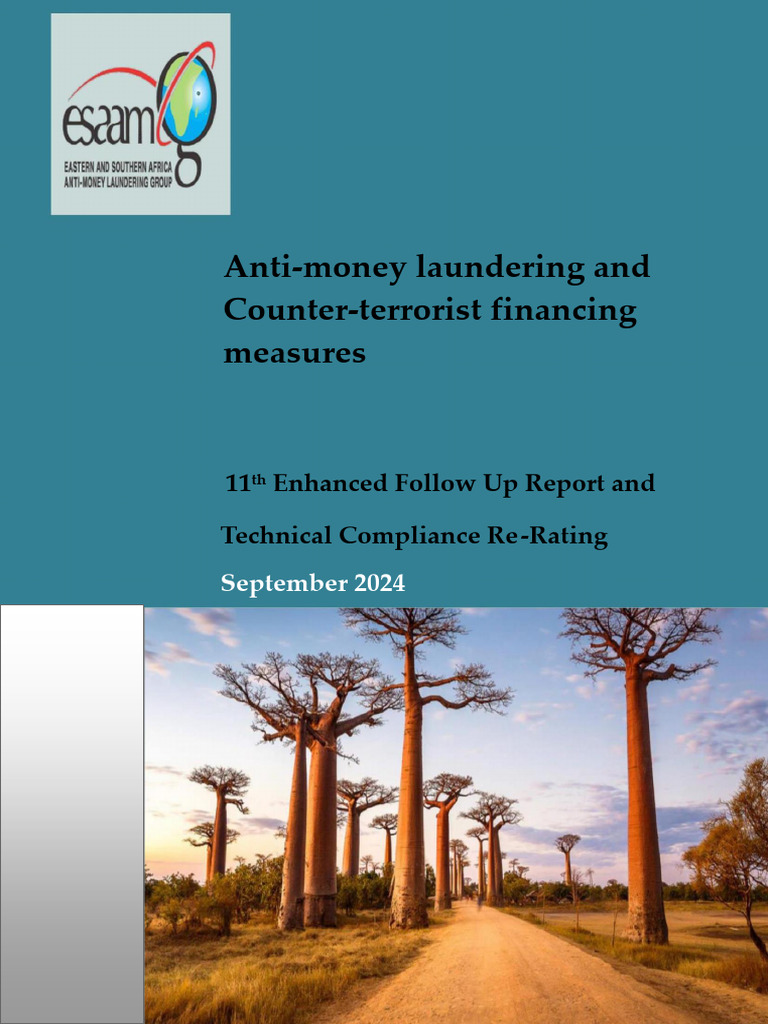 Madagascar AML/CFT Compliance Report 2024 | PDF | Terrorism Financing ...
