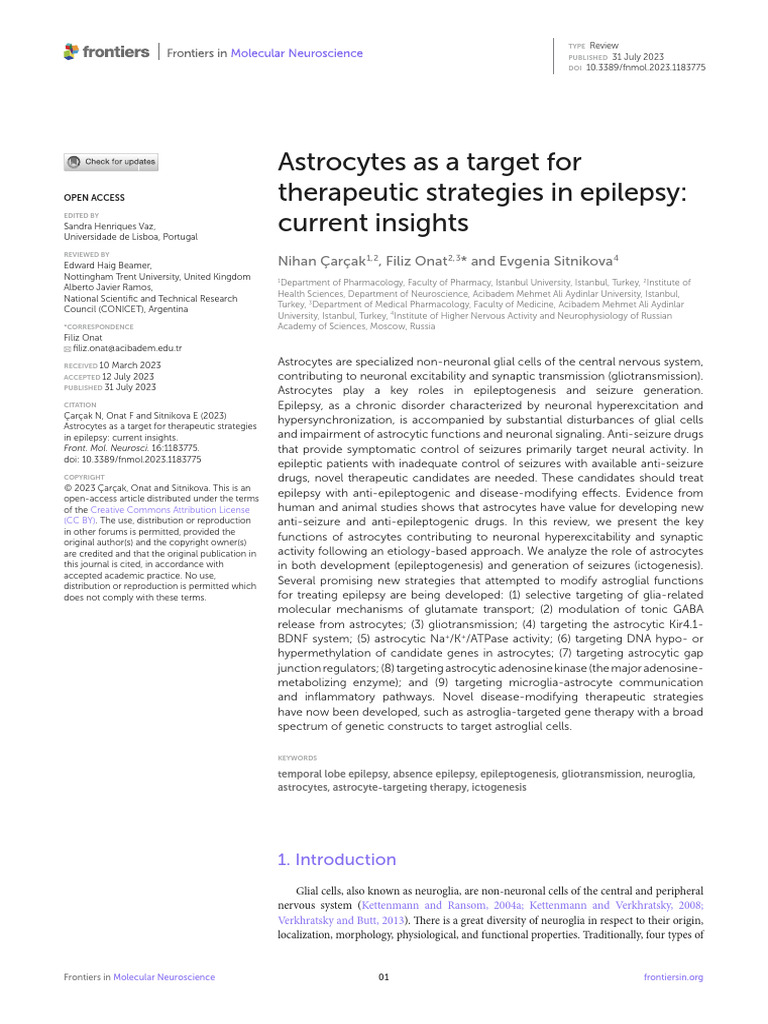 Astrocytes As A Target For Therapeutic Strategies | PDF | Chemical ...