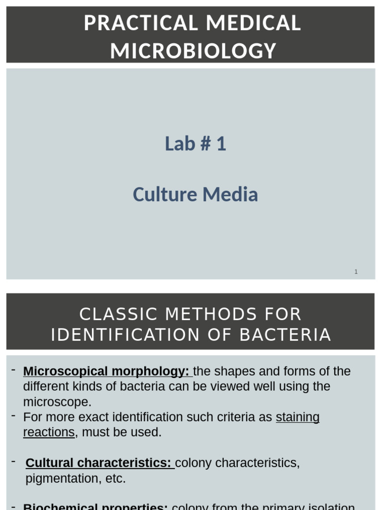 Bacterial Identification and Culture Media | PDF | Growth Medium ...