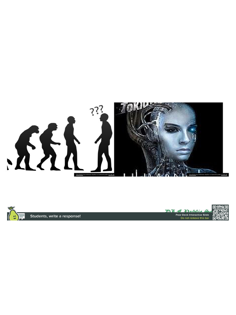 Human Evolution and Stone Age Overview | PDF | Stone Age | Neolithic