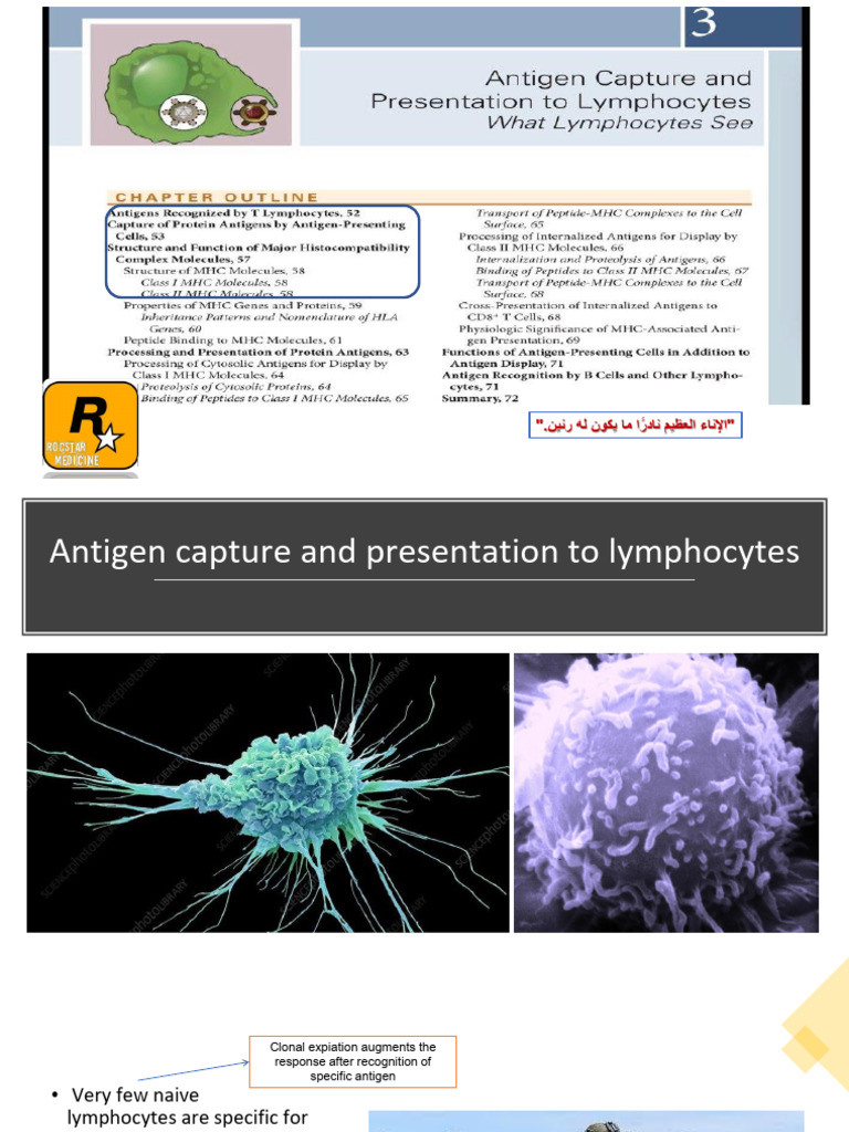 1 - Antigen Capture and HLA Part-1-1 | PDF | Major Histocompatibility ...