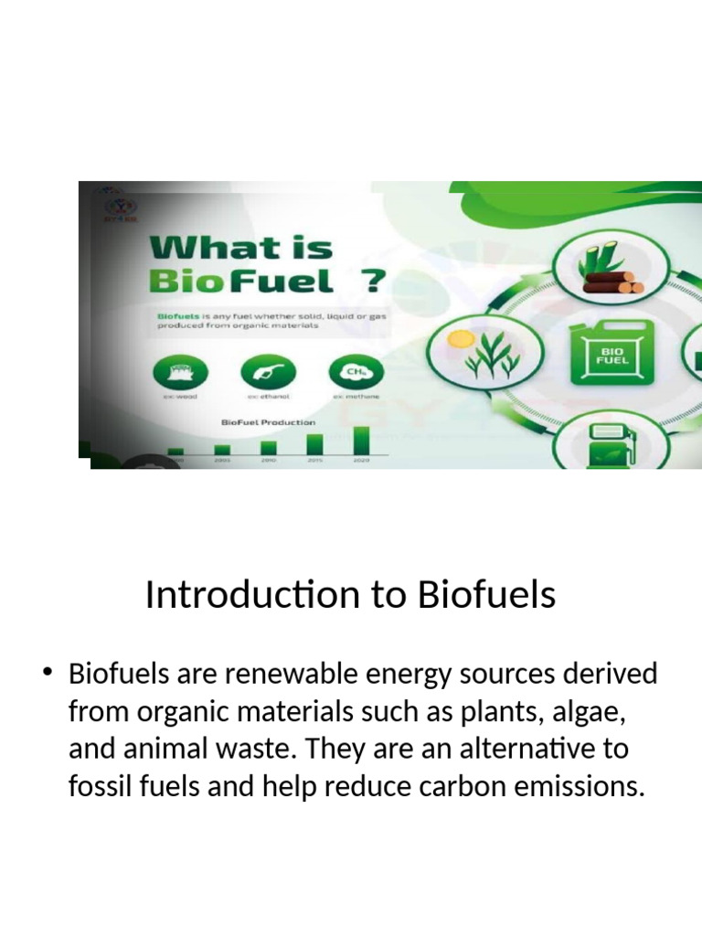Biofuels Presentation | PDF
