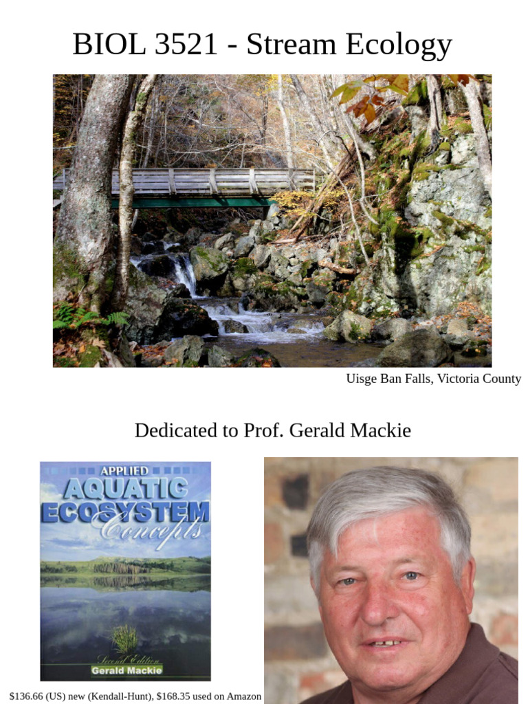 Stream Ecology: Benthic Invertebrates Guide | PDF | Benthic Zone | Stream