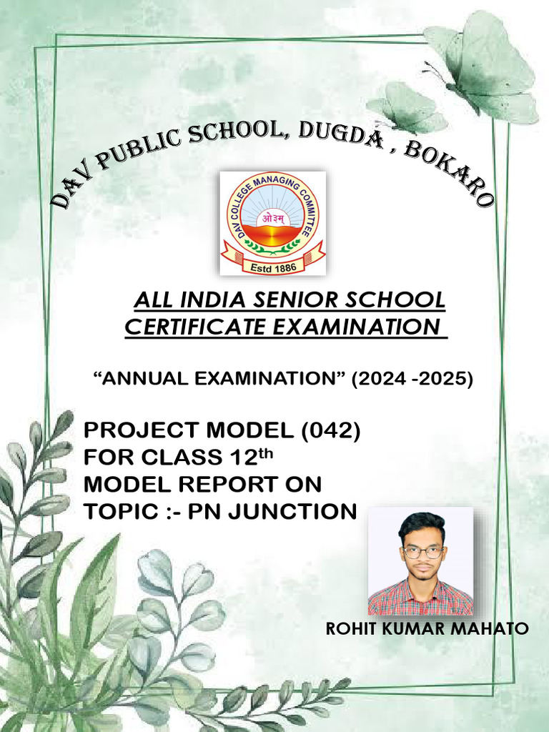 Maths Project | PDF