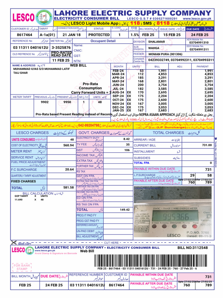 Pro-Rata Web Bill Summary February 2025 | PDF