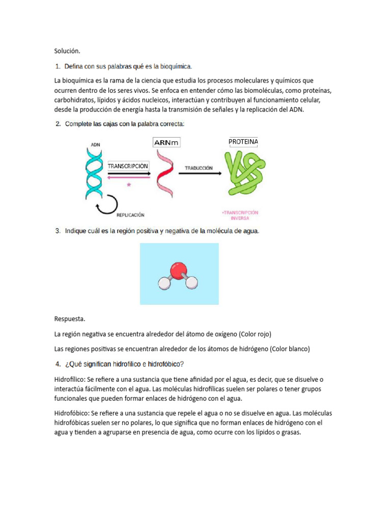 Solución 1 Parcial | PDF | Lípido | Polaridad química