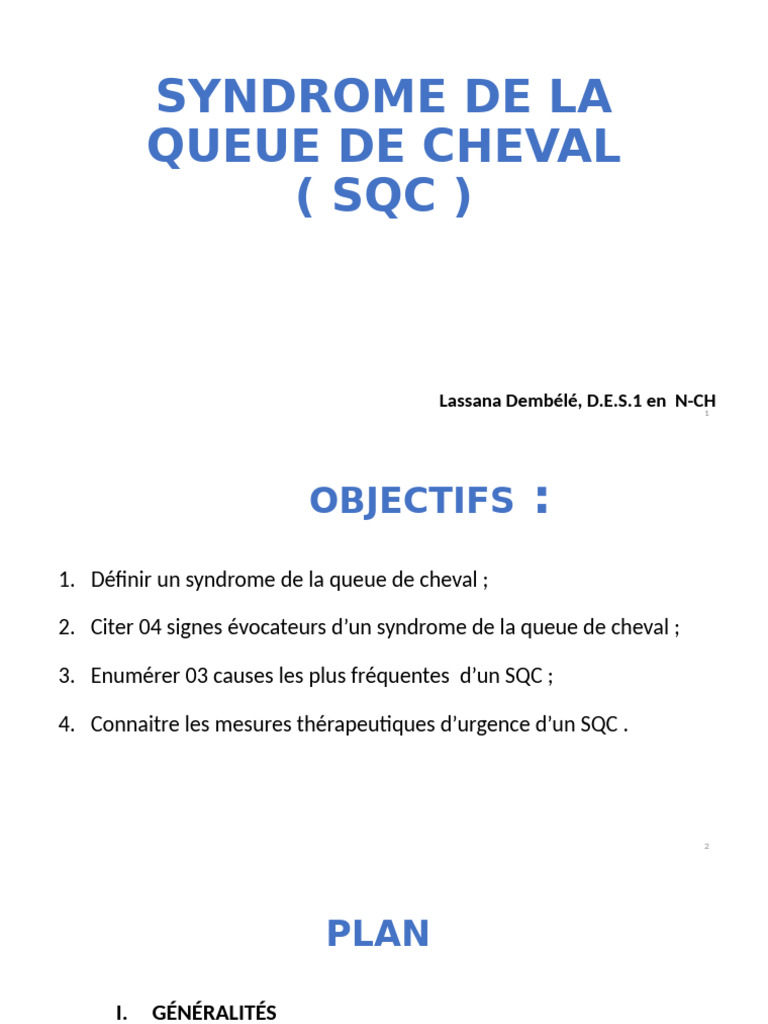 Syndrome de Queue de Cheval (SQC) PDF Système nerveux Médecine — free download