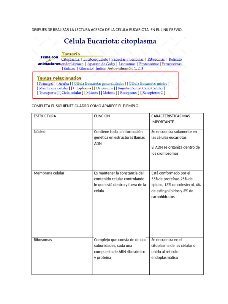 Estructura y función de la célula eucariota | PDF | Citoplasma ...