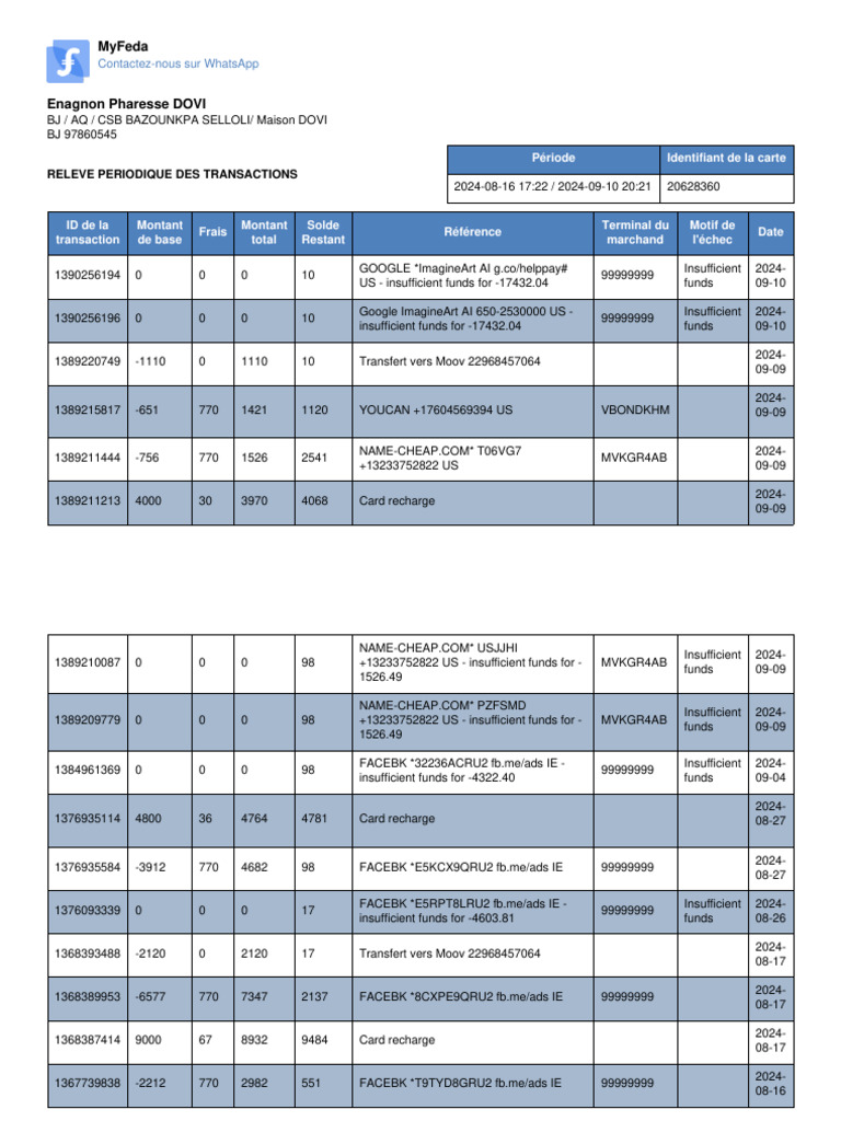 Activity Report Pdf Payments