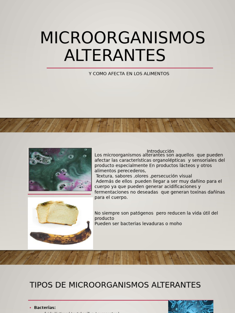 Impacto de Microorganismos Alterantes en Alimentos | PDF | Alimentos ...