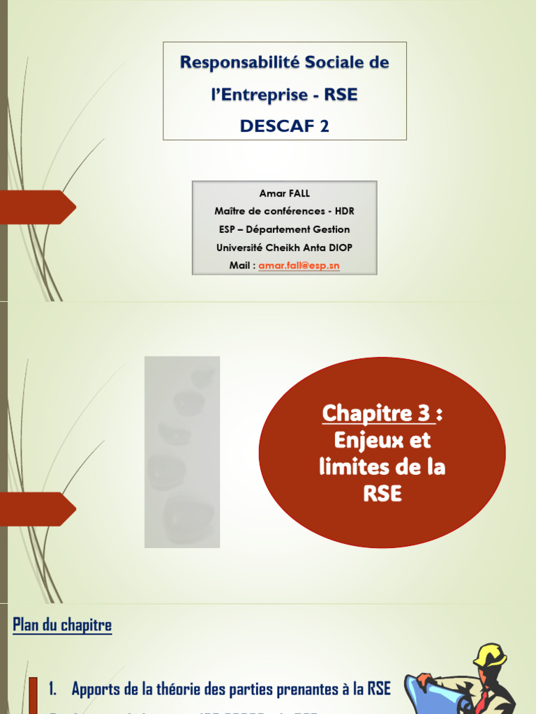 Enjeux et limites de la RSE en entreprise | PDF | Responsabilité ...
