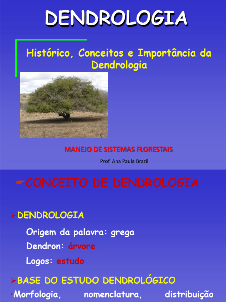 Importância e Conceitos de Dendrologia | PDF | Plantas | Botânica