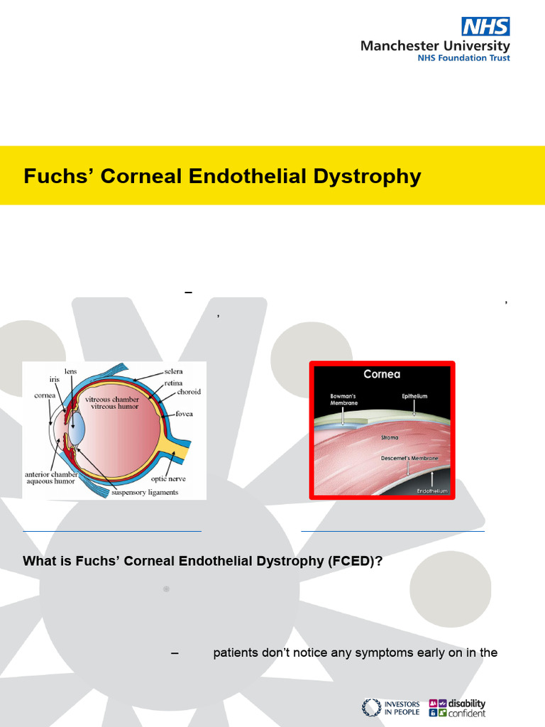 FUCH'S Dystrophy Patient Leaflet Manchester Hospital | PDF | Cornea ...