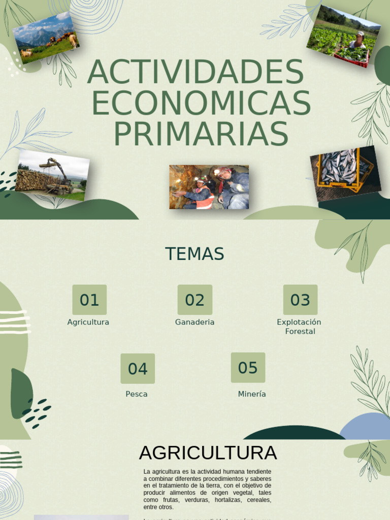 Actividades Económicas Primarias | PDF | Agricultura | Minería