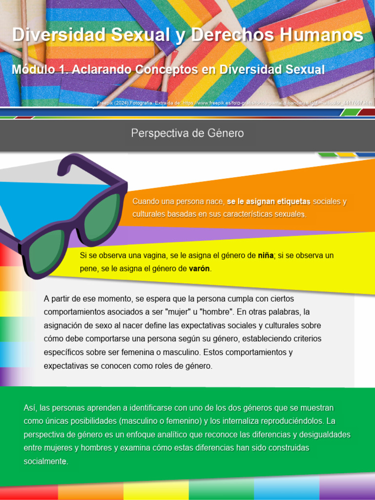 Diversidad Sexual y Perspectiva de Género | PDF | Género | Estudios de ...