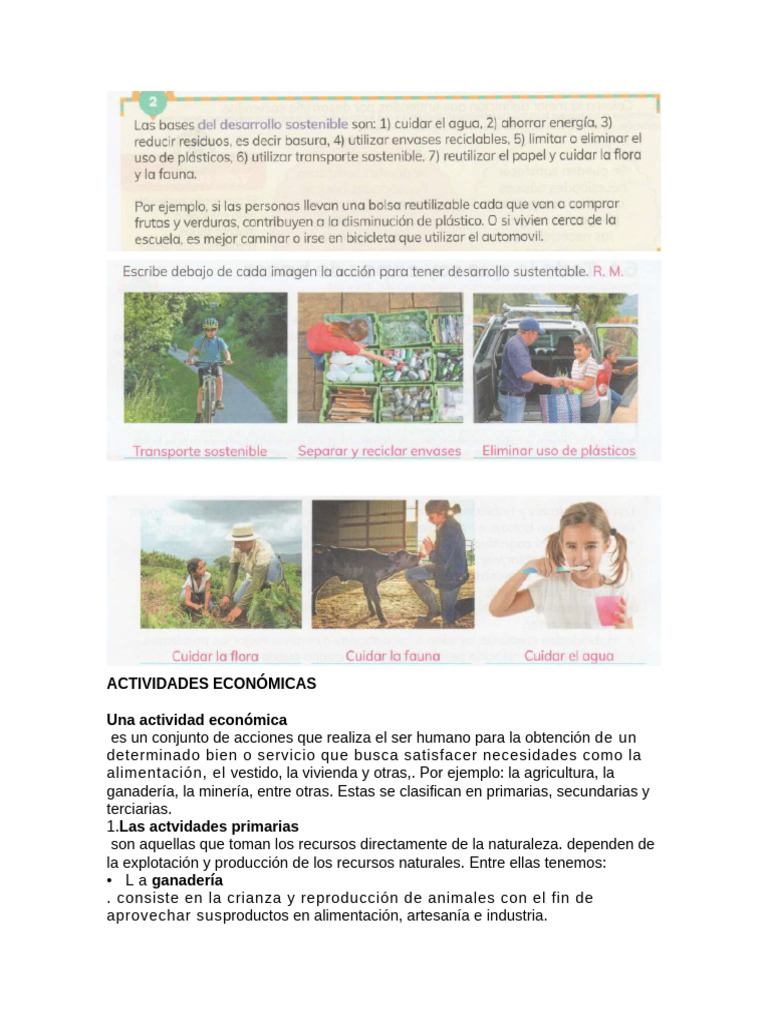 Actividades Económicas y Sostenibilidad | PDF | Agricultura | Contaminación
