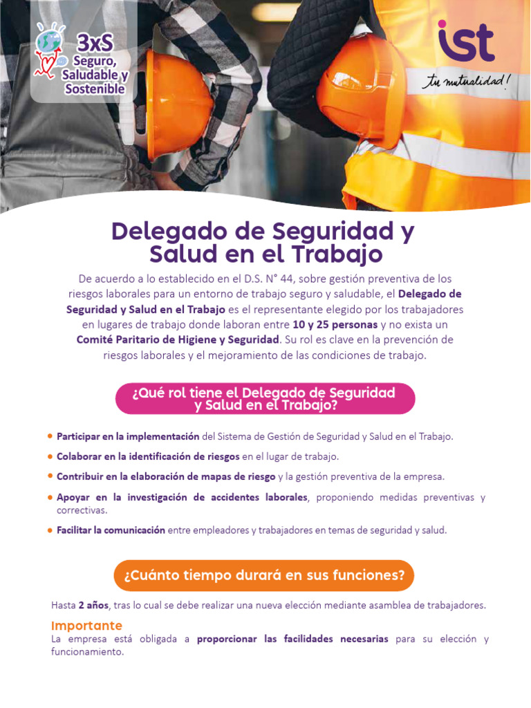 Delegado de Seguridad y Salud en El Trabajo DS 44 | PDF | Votación ...