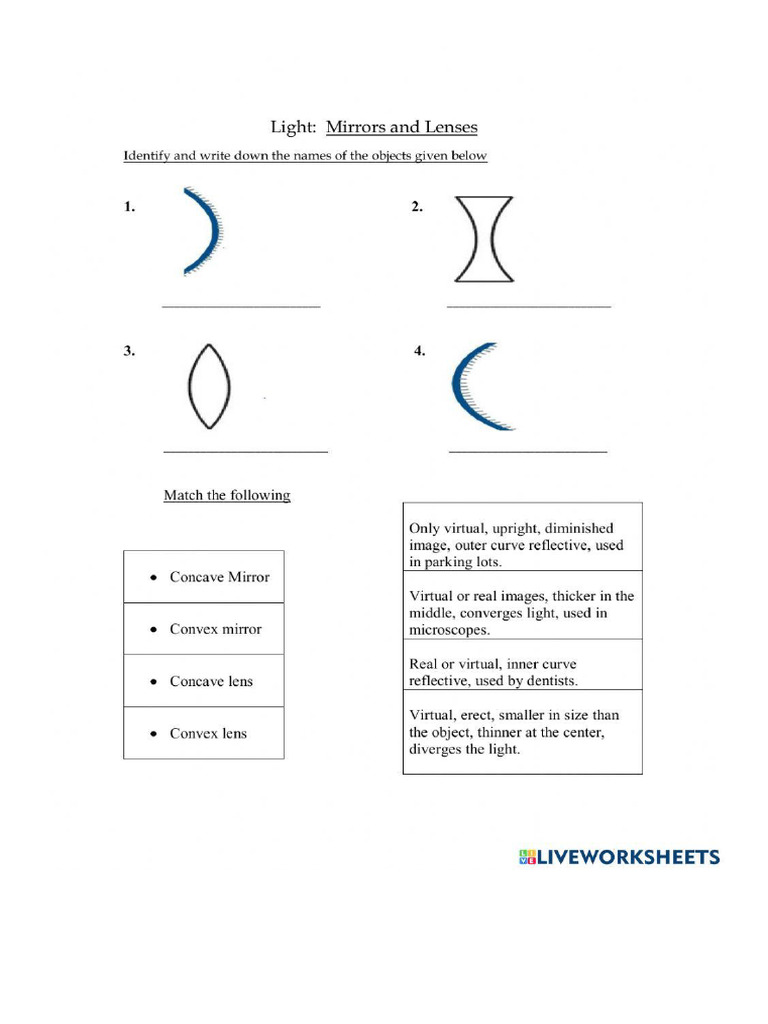 Light Class7 | PDF