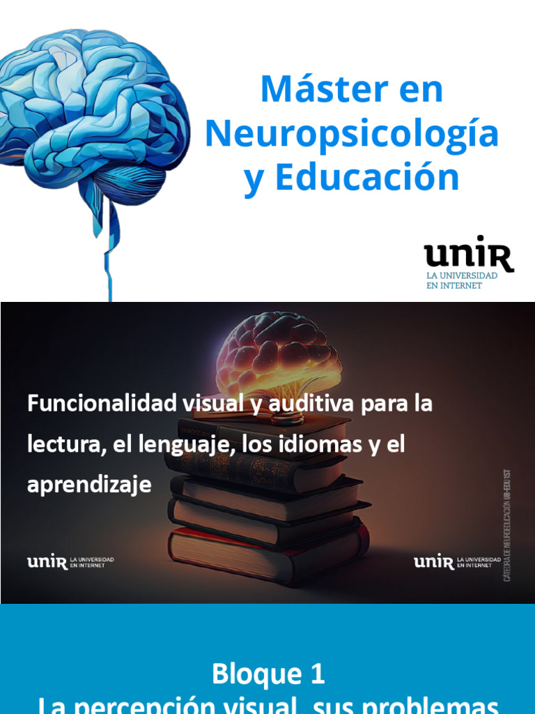 Clase 4 Tema2A | PDF | Percepción | Color