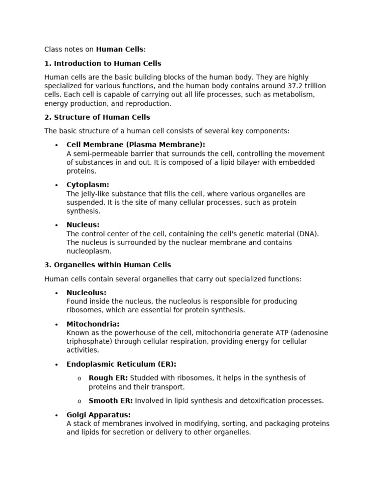 Class Notes On Human Cells | PDF | Cell (Biology) | Endoplasmic Reticulum