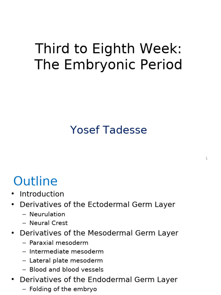 Embryonic Period | PDF | Anatomy | Developmental Biology
