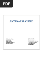 Antenatal Care Card Template | PDF | Gynaecology | Sexual Reproduction