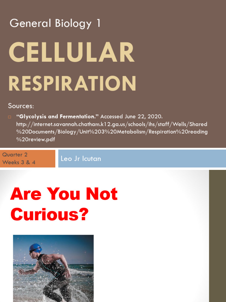 Cellular Respiration Explained: ATP Production | PDF | Cellular ...
