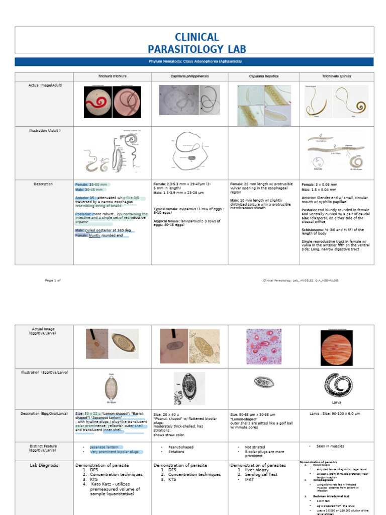 Parasit Lab Notes - Finals | PDF | Nematode | Diseases And Disorders