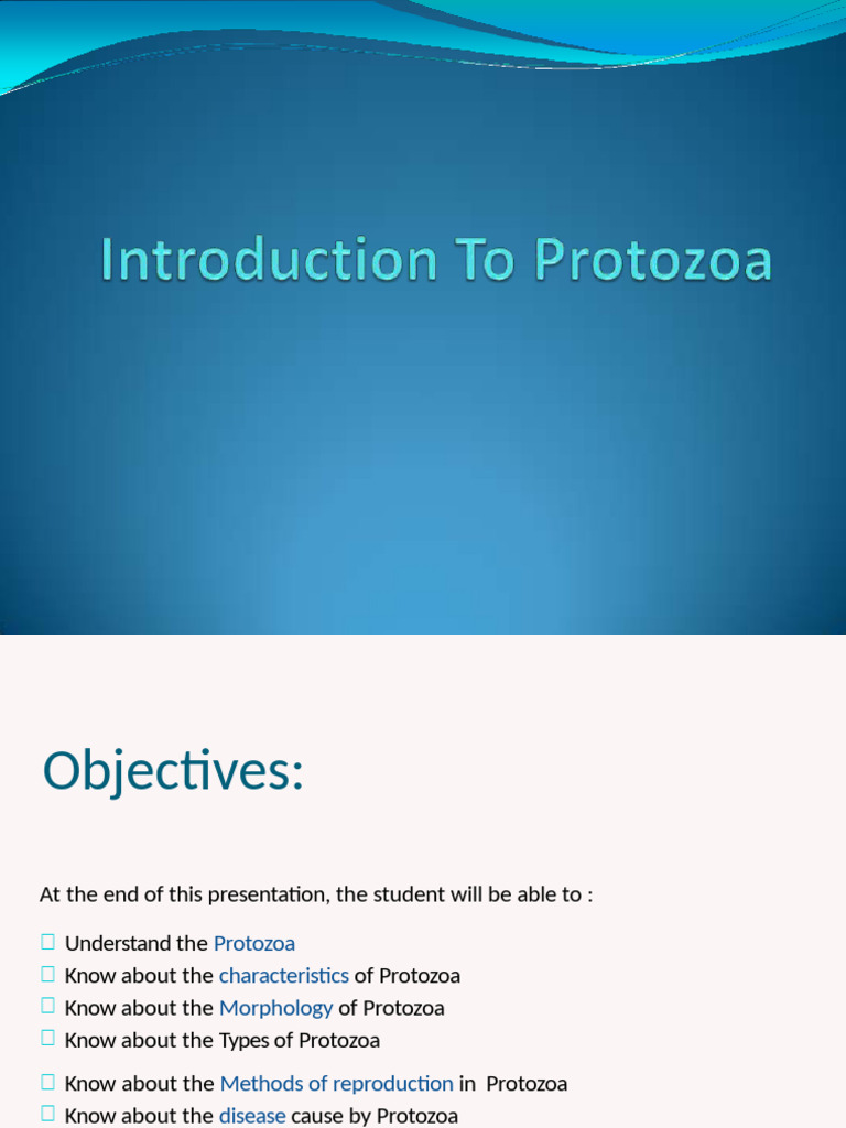 Understanding Protozoa: Types & Reproduction | PDF | Malaria ...