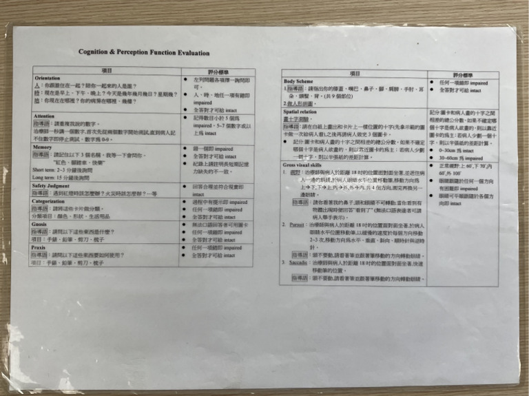 Cognition - Perception Function Evaluation | PDF