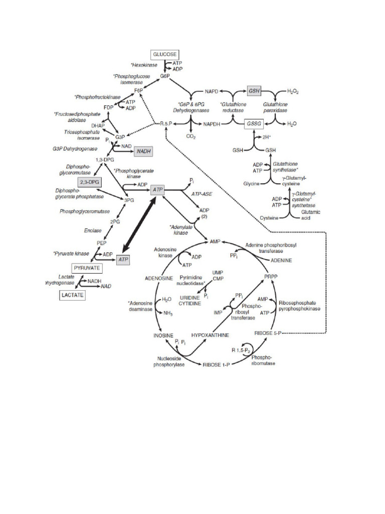 Chart 2 | PDF