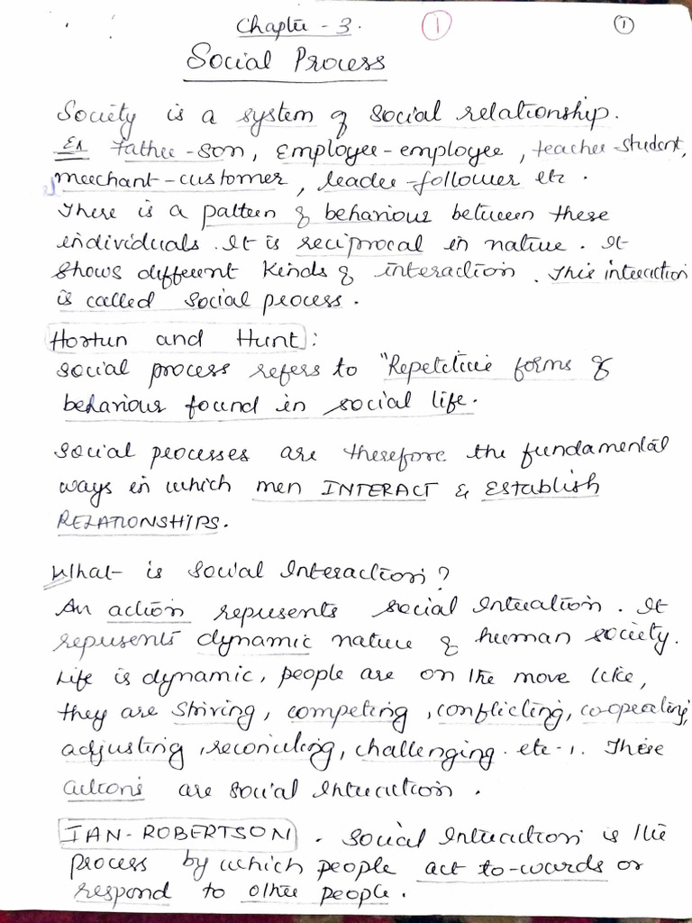CH 3 - Social Process Notes | PDF