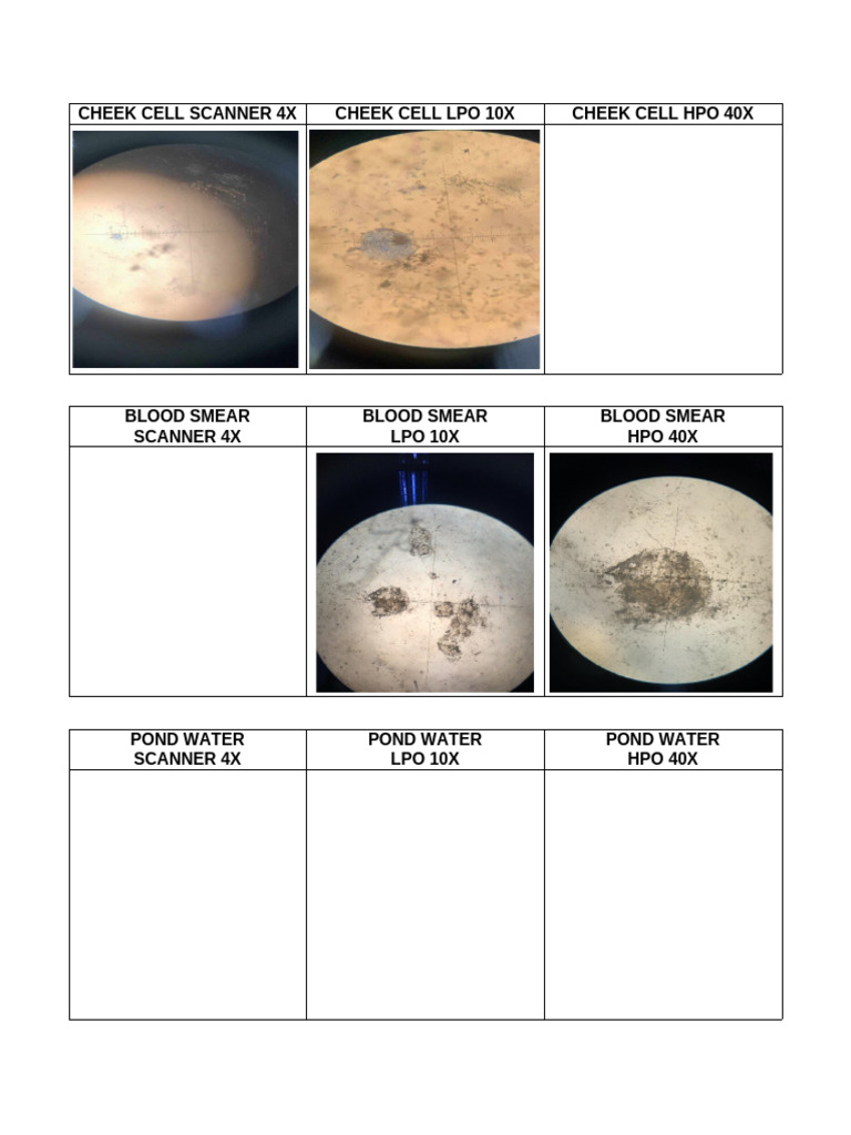 Microscopy Techniques for Various Samples | PDF