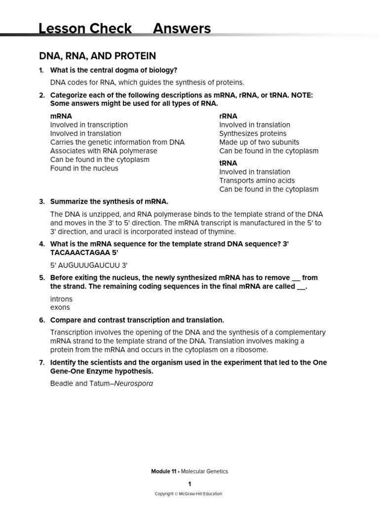 Lesson Check Answer Key - DNA, RNA, and Protein | PDF