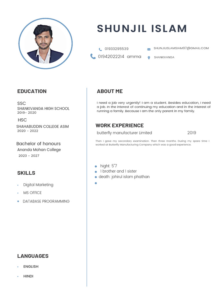 Professional Modern CV Resume | PDF