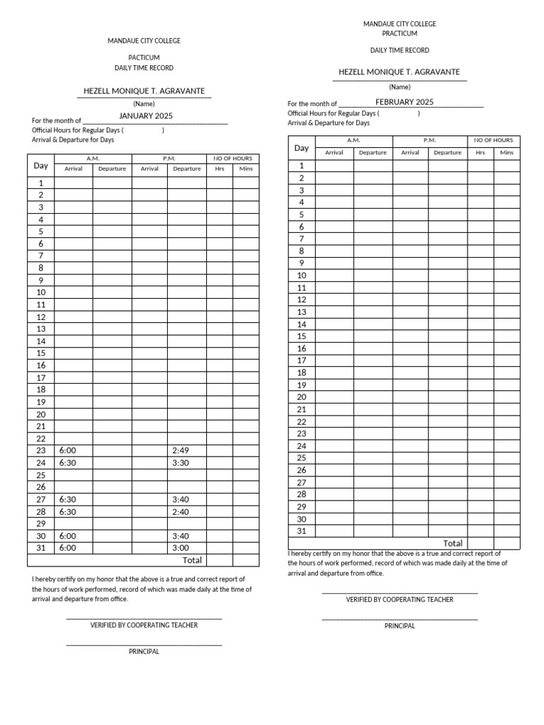 Mandau City College Practicum Time Record | PDF