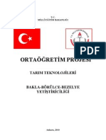 Bakla - Börülce - Bezelye Yetiştiriciliği