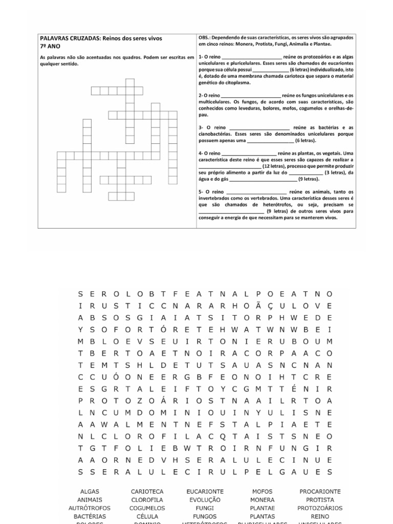 Atividade 8 Ano | PDF