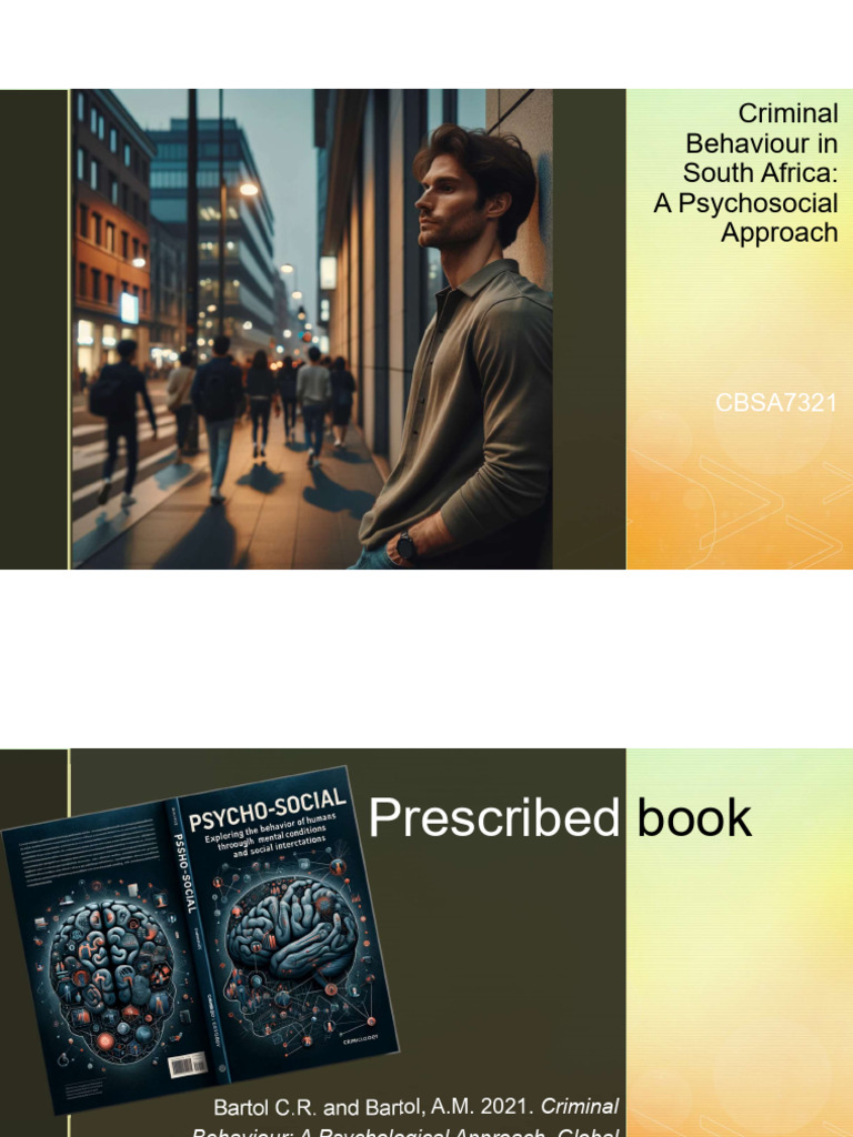 Psychosocial Insights on South African Crime | PDF | Crimes | Crime ...