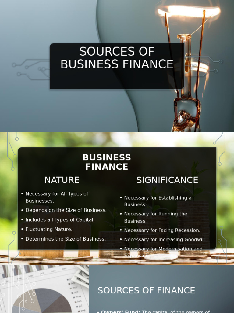 Sources of Business Finance Explained | PDF | American Depositary ...