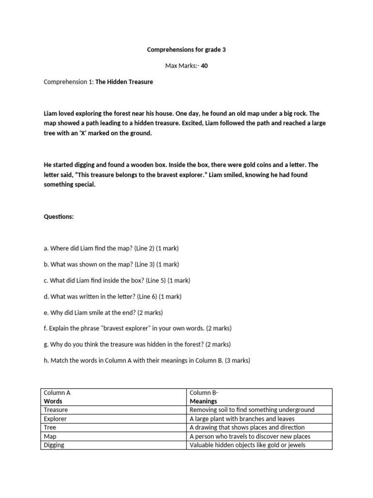 Grade 3 Comprehension Exercises | PDF