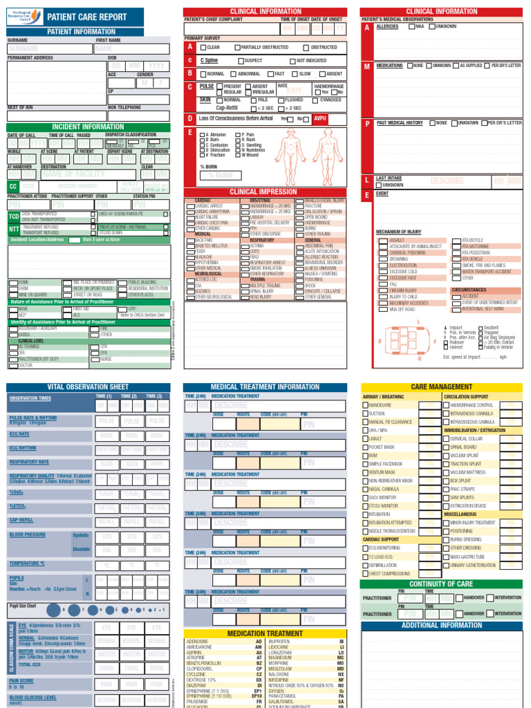 PUB011-Patient Care Report Edition 2 | PDF | Burn | Cardiopulmonary ...