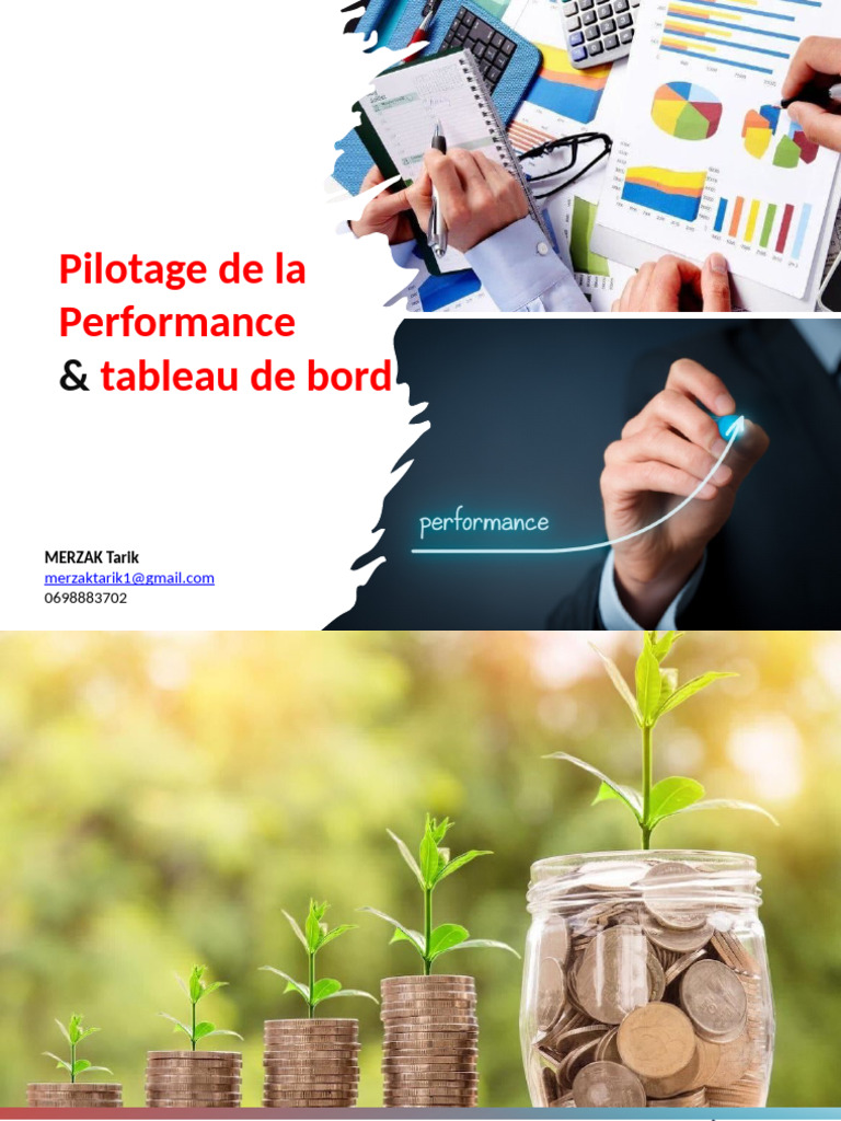 Pilotage de la Performance en Entreprise | PDF | Analyse comparative ...