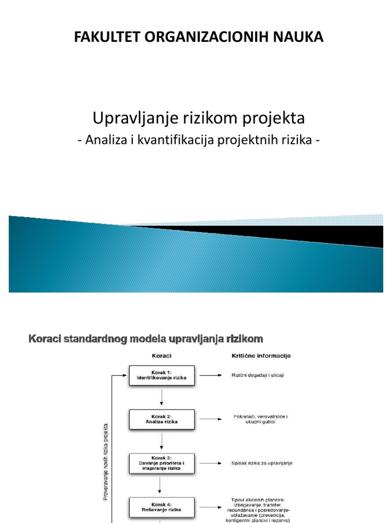 Analiza I Kvantifikacija Rizika | PDF