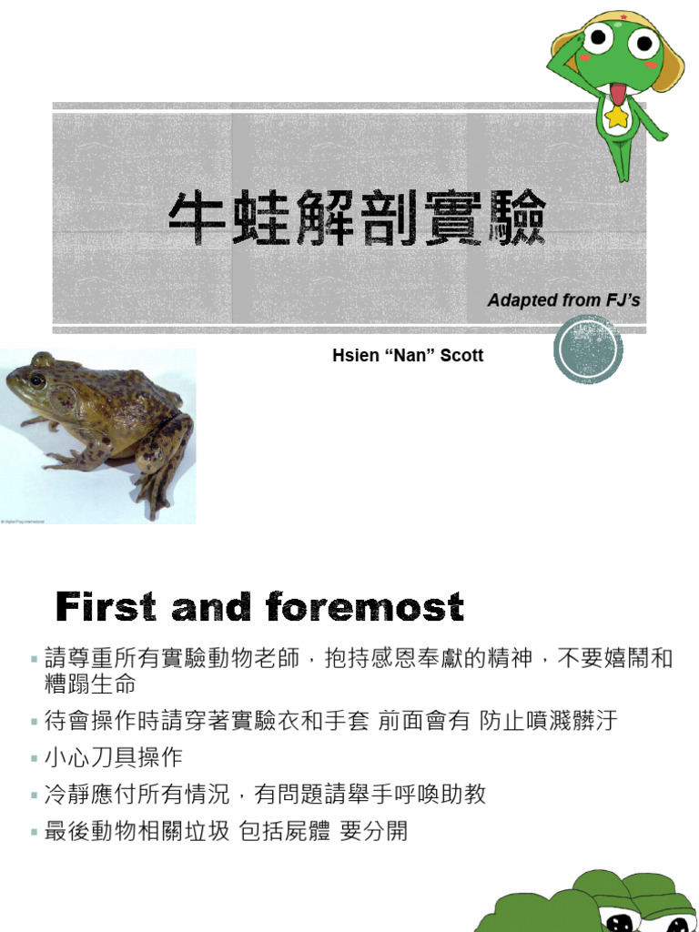 06 Frog Revised 2 | PDF